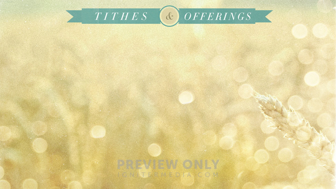 Wheat_Field_-_Tithes_and_Offerings_16x9-CONTENT-2#preset=tg_alt2.jpg