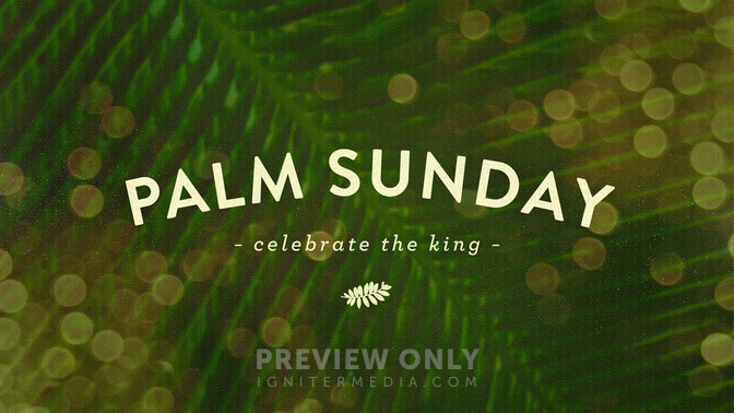 palm bokeh - palm sunday