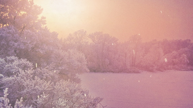 Scenic_Christmas_Field_HD.jpg