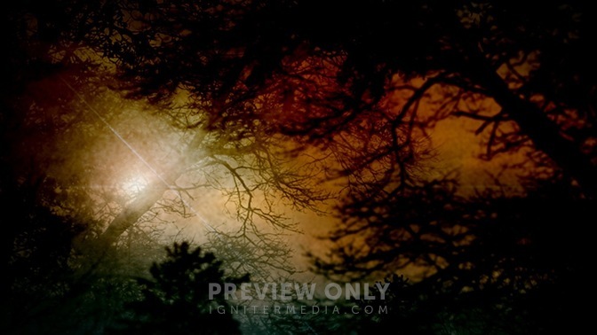 Nature_Sunset_Colors_16x9.jpg