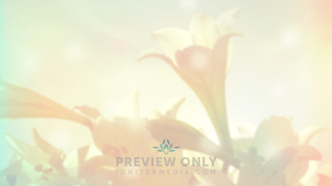 Lilies_-_Welcome_To_Church_16x9-TITLE-3#preset=tg_title3.jpg