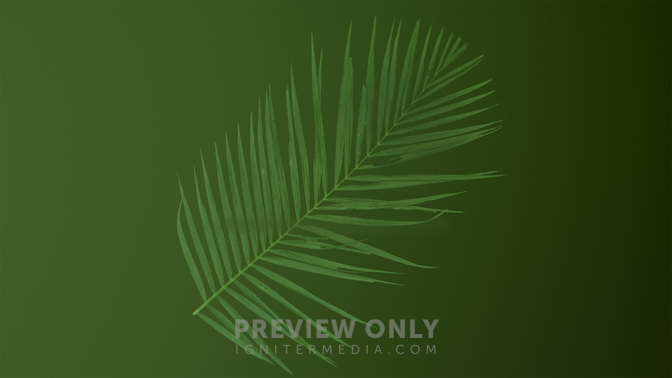 PalmGoodbye-WIDE#preset=tg_title3.jpg