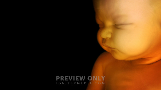 Sanctity_of_Life_Week_16x9-TITLE-3#preset=tg_title3.jpg