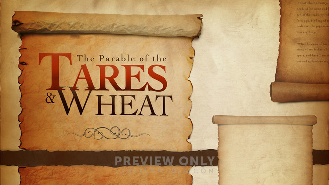 The_Parable_of_the_Tares__Wheat_16x9-TITLE-2#preset=tg_title2.jpg