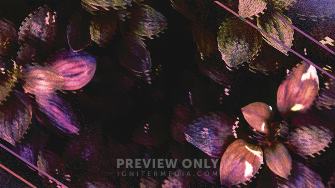 WomensConference-WIDE#preset=tg_title3.jpg