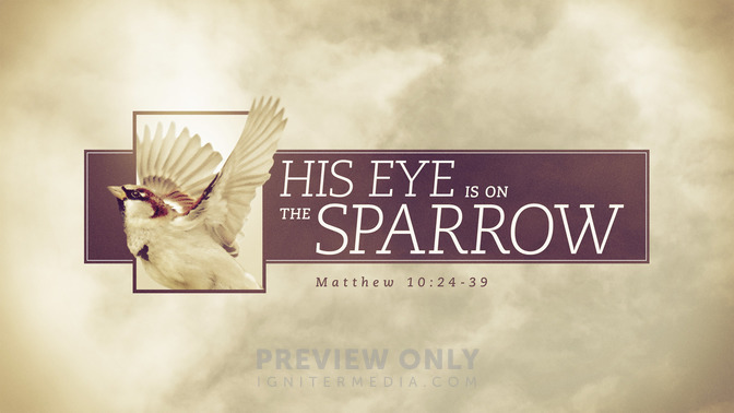 his eye is on the sparrow