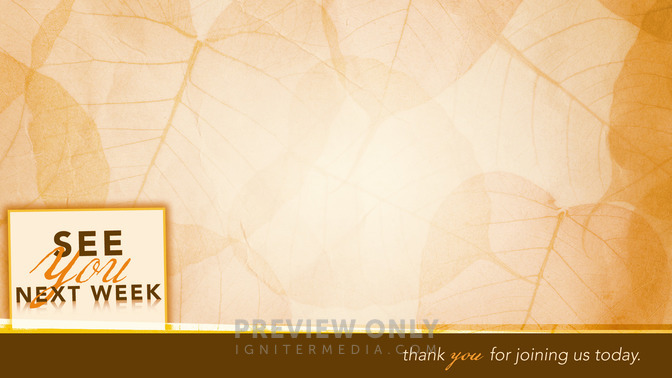 See_You_Next_Week_16x9-CONTENT-1#preset=tg_alt1.jpg
