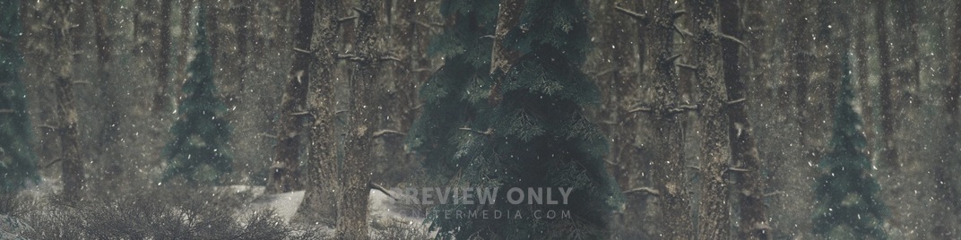 Winter_Wonderland_5_UW_SD.jpg