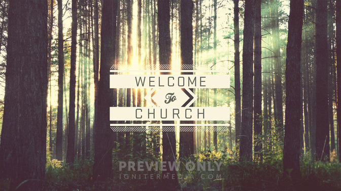forest - welcome