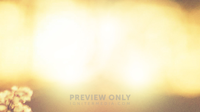 In_God_We_Trust_16x9-BACKGROUND#preset=tg_bg.jpg