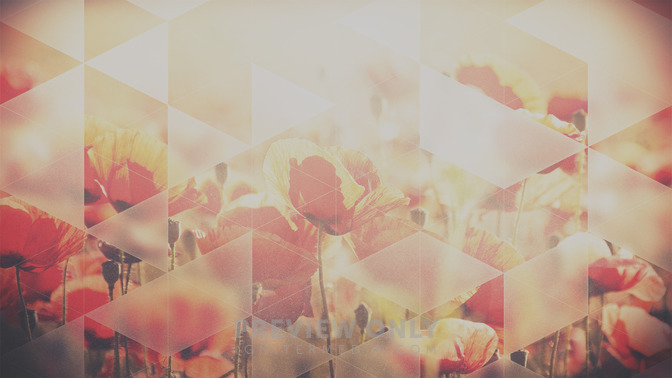 Opaque_Triangles_-_Connect_16x9-BACKGROUND#preset=tg_bg.jpg