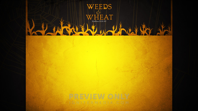 Weeds__Wheat_16x9-CONTENT-1#preset=tg_alt1.jpg