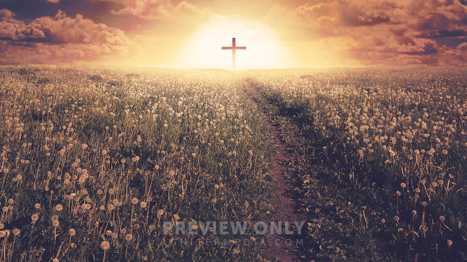 Way_of_the_Cross_16x9-TITLE-3#preset=tg_title3.jpg
