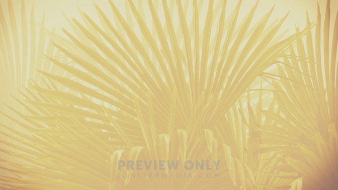 Palm_Sunday_16x9-BACKGROUND#preset=tg_bg.jpg