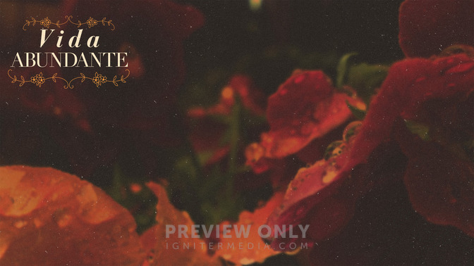 Vida_Abundante_16x9-CONTENT-2#preset=tg_alt2.jpg