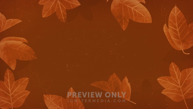 Fall_Leaves_6_HD.jpg