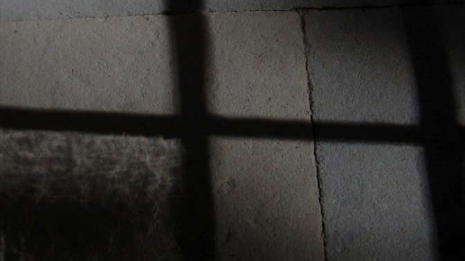shadow cast 6