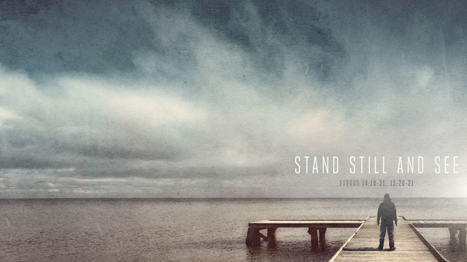 Stand_Still_and_See_16x9-CONTENT-1#preset=tg_alt1.jpg