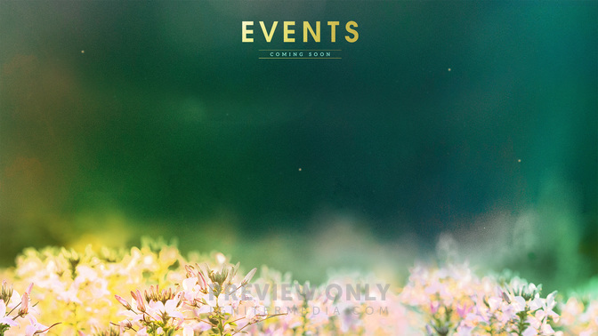 Events_Fields_of_Bloom_WIDE-CONTENT-1#preset=tg_alt1.jpg