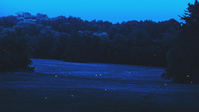 Upcoming-WIDE#preset=tg_title3.jpg