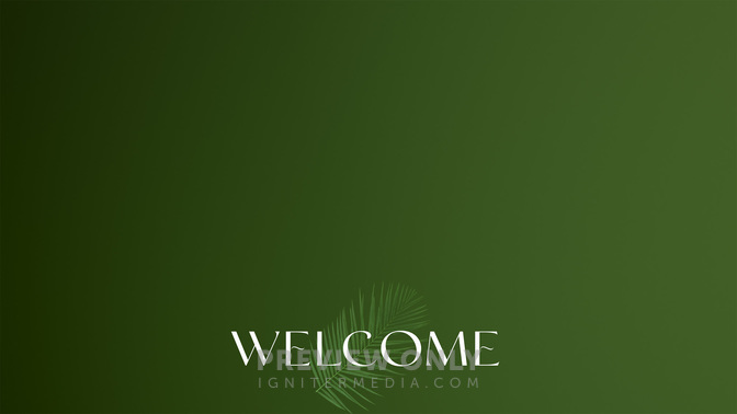 PalmWelcome-WIDE#preset=tg_alt1.jpg