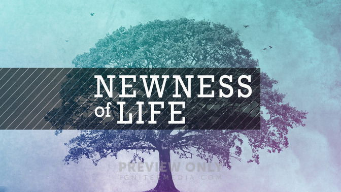 Newness_of_Life_16x9-TITLE-2#preset=tg_title2.jpg