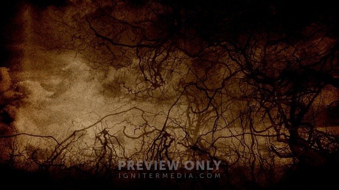 Roots_Dark_Brown_16x9.jpg