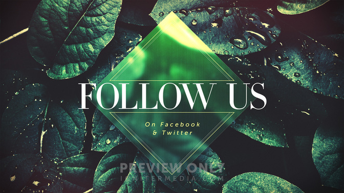 Spring_Dew-Follow_Us_WIDE-TITLE-1#preset=tg_title1.jpg