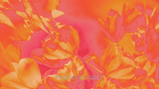 Spring_Flowers_TT3_Mothers_Day_WIDE#preset=tg_title3.jpg