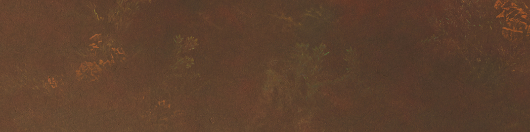 velvet flourish - 2