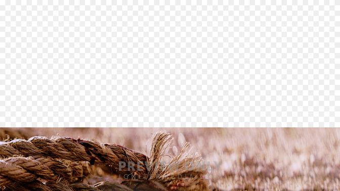 GoodFriday-WIDE#preset=tg_transparent_png_preview.jpg