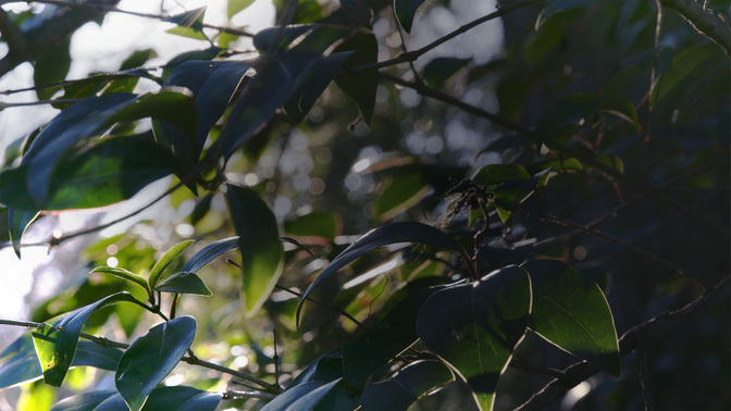 Offering-WIDE#preset=tg_alt2.jpg