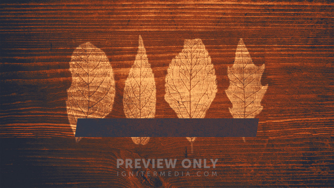 Wood_Leaves-Happy_Thanksgiving_WIDE-TITLE-3#preset=tg_title3.jpg