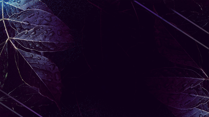 MarriageConference-WIDE#preset=tg_alt2.jpg