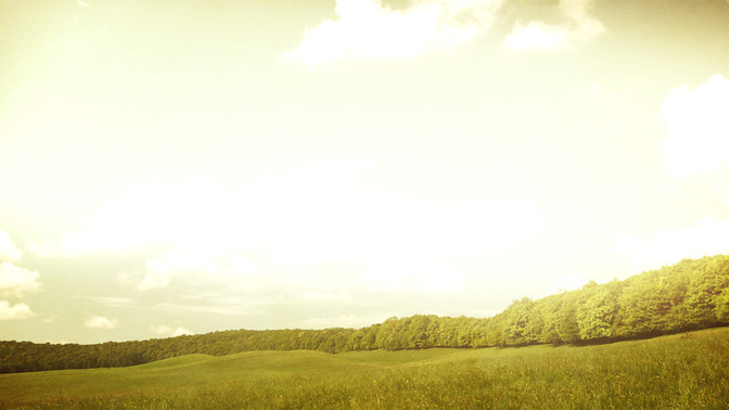 GrassyMeadow-Trees1920x1080.jpg