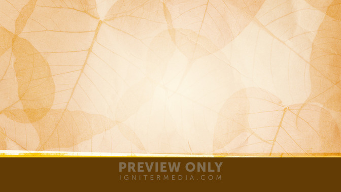 See_You_Next_Week_16x9-TITLE-3#preset=tg_title3.jpg