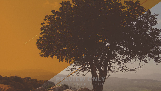 Zacchaeus_16x9-TITLE-3#preset=tg_title3.jpg