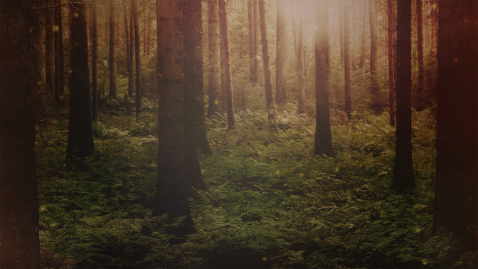 Fall_Twilight_-_Welcome_16x9-CONTENT-3#preset=tg_alt3.jpg
