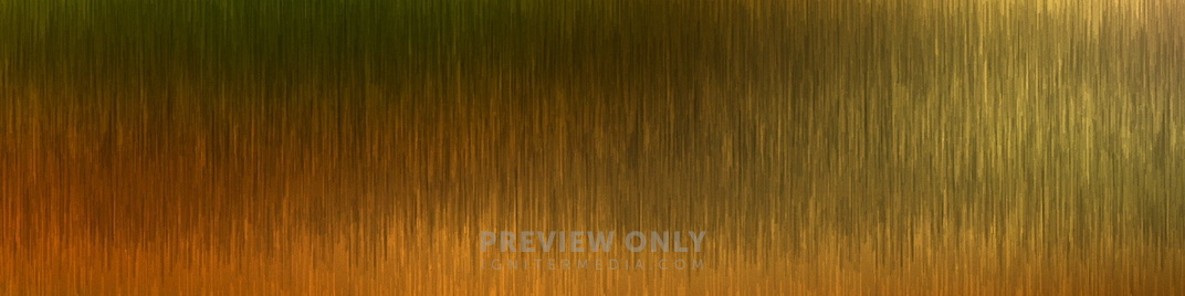 Audio_Waves_Orange_MS_1920x480.jpg