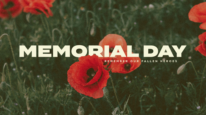 field of poppies - memorial day