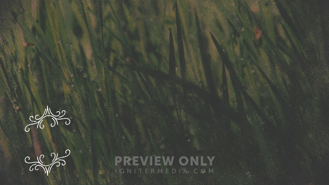 Spring_Swirls_-_Offerings_16x9-CONTENT-3#preset=tg_alt3.jpg