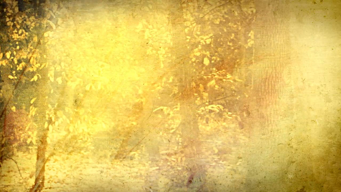 Fall Woods.jpg