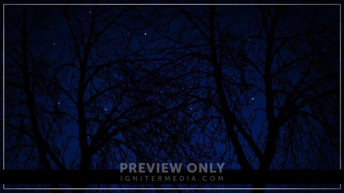 The_Darkness_of_Betrayal_16x9-BACKGROUND#preset=tg_bg.jpg