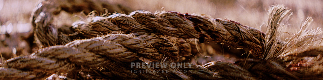 Good Friday Detail UW_SD.jpg