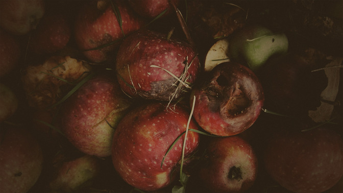 Rotten_Fruit_16x9-BACKGROUND#preset=tg_bg.jpg
