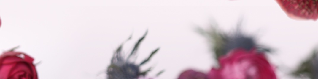 Spring_Floral_Flowers_Overhead_UW_SD.jpg