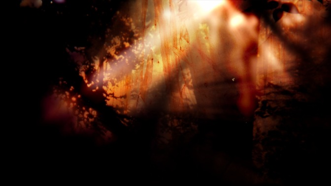 Organic_Tree_2_16x9.jpg