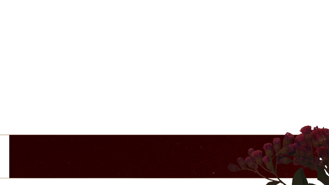 Autumn Nature_L3_TH_Main_WIDE#preset=tg_transparent_png_preview.jpg