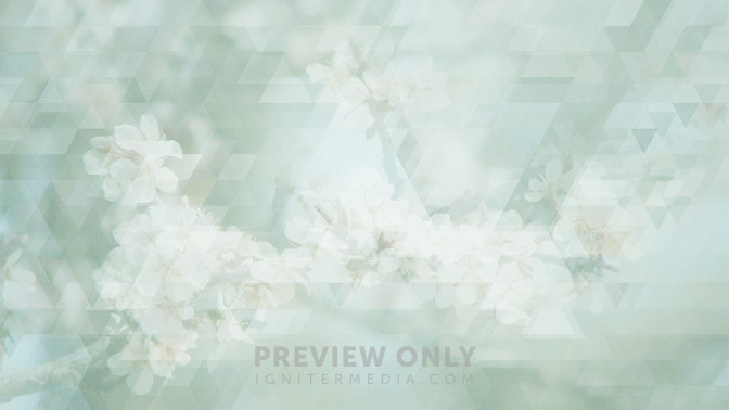 Spring_Shapes_-_Welcome_to_Church_16x9-TITLE-3#preset=tg_title3.jpg