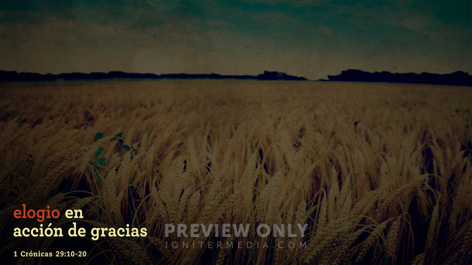 Elogio_en_Accin_de_Gracias_16x9-CONTENT-1#preset=tg_alt1.jpg
